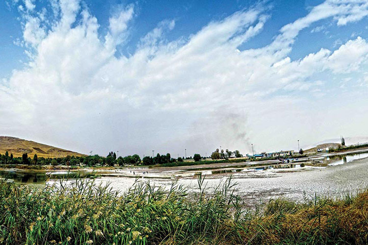 سراب نیلوفر